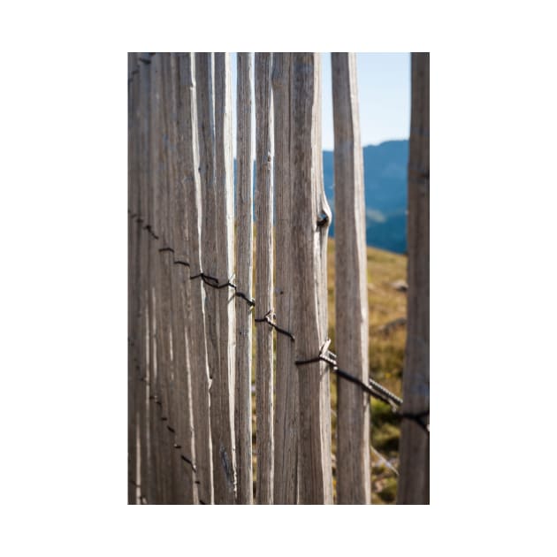 Fence by ansaharju