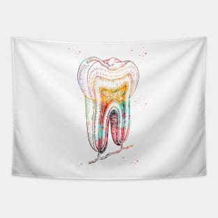 Human tooth structure Tapestry