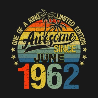 Vintage 60 Years Old June 1962 Decorations 60th Birthday T-Shirt