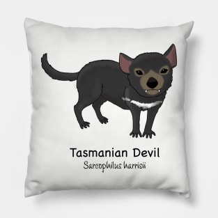 Endangered animals of Australia - Tasmanian Devil (Sarcophilus harrisii) Pillow