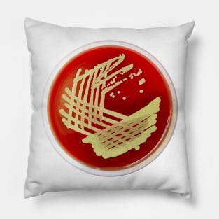 Bacterial Culture Streaks E.coli Petri Dish in Microbiology Lab Gold Red Yellow Pillow