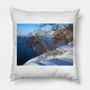 Avacha Bay from Nikolskaya Hill, Petropavlovsk, Kamchatka, Russia. Pillow