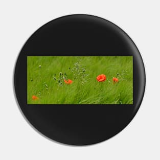 Poppies in Wheat Field Pin