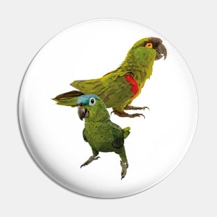 Parrots Pin