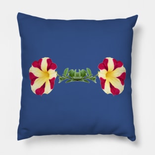 Petunia  Amore Queen of Hearts  Amore series Pillow