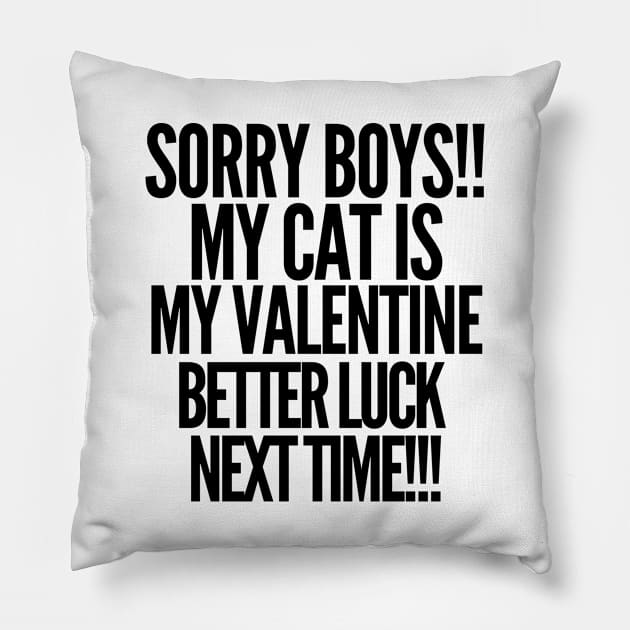 Sorry boys! My cat is my valentine. Better luck next time! Pillow by mksjr