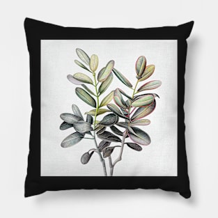 Adorable ZZ Plant Drawing Illustration Pillow