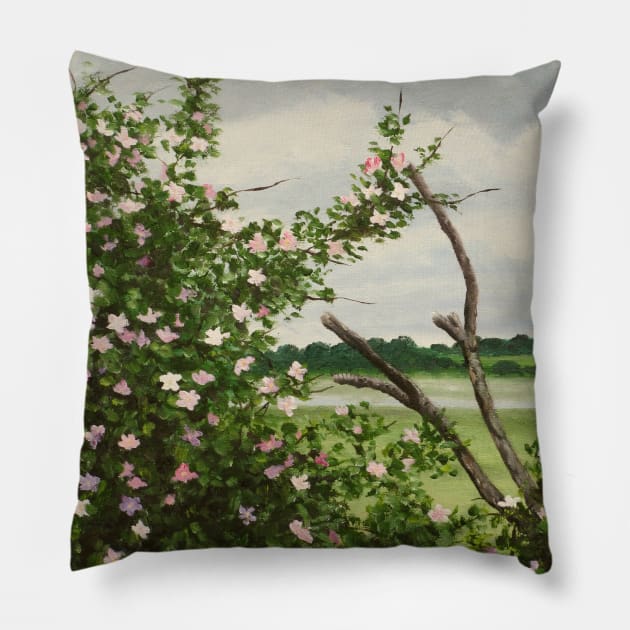 Wild Rose, Bosham Pillow by richardpaul