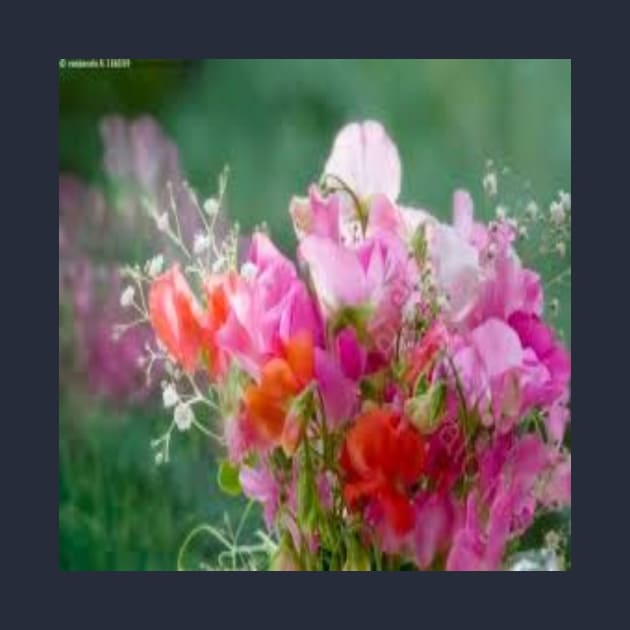 Sweet peas are truly sweet by Designs and Dreams