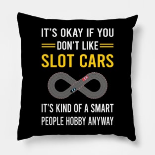 Smart People Hobby Slot Cars Car Slotcar Slotcars Pillow