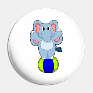 Elephant Circus Exercise ball Pin