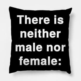 There is neither male nor female verse Pillow