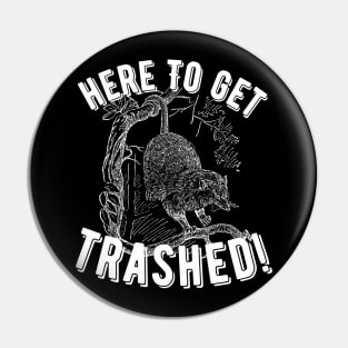 Opossum Here To Get Trashed! Pin