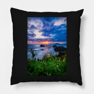 Daisy at Sunset Pillow