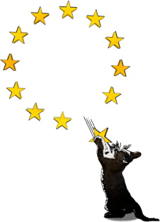 BREXIT CAT Magnet