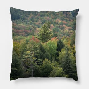 Autumn in the Adirondack Mountains!! Pillow