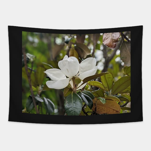 Magnolia Bloom 4 Tapestry by AustaArt