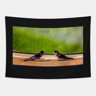 A Pair of Barn Swallows Arguing Tapestry