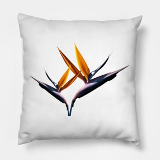 Strelitzia - the Bird of Paradise Flower Pillow