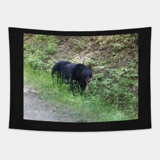 Black Bear Tapestry