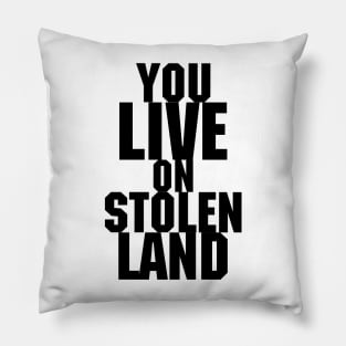 You live on stolen land Pillow