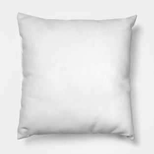 Polar Express Pillow