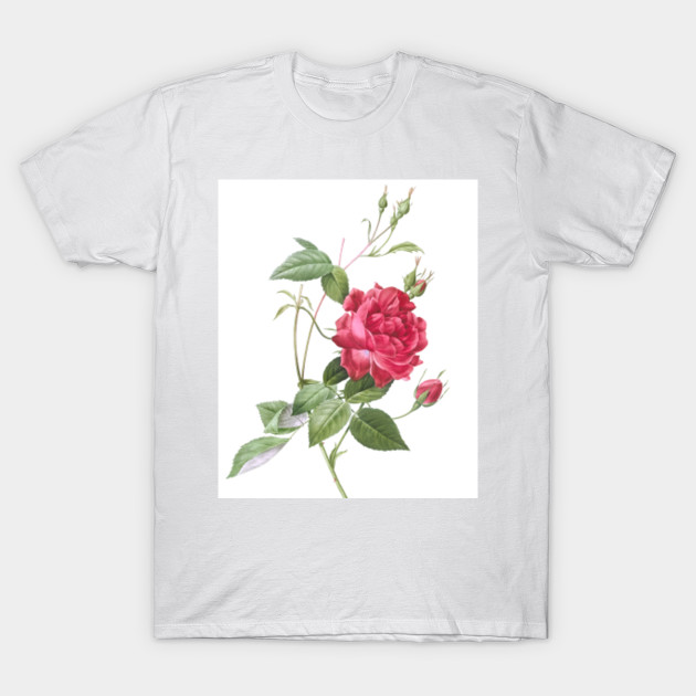 Blood Red Bengal Rose Rosa Indica Cruneta Red Rose T Shirt