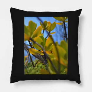 Red mangrove Pillow