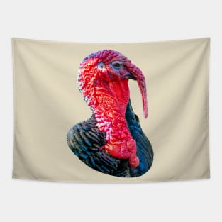 Tom Turkey Tapestry