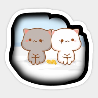 adorable cat kitten cute pfp idea aesthetic  Funny cat faces, Cute cats,  Funny cat jokes