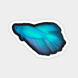 Betta Fish Light (Neon) Blue Magnet