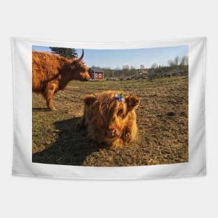 Scottish Highland Cattle Cow and Calf 1982 Tapestry