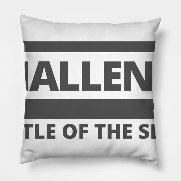 Battle of the Sexes Pillow by ryanmcintire1232