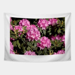 Purple rhododendron flower Tapestry