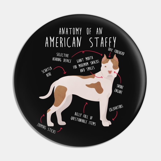 American Staffordshire Terrier Amstaff Anatomy Pin by Psitta