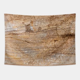 Crushed Erosion Earth Surface Tapestry