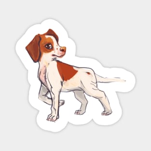 English pointer dog Magnet