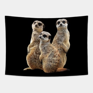 Funny Meerkat - Mongoose in Africa Tapestry