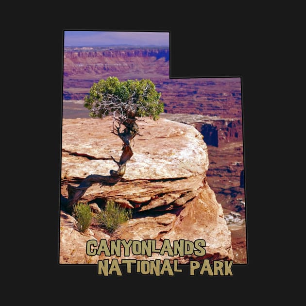 Utah State Outline - Canyonlands National Park by gorff