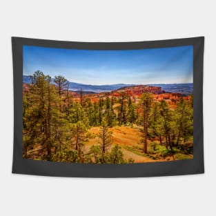 Bryce Canyon National Park Tapestry