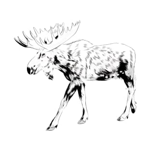 Moose sketch T-Shirt