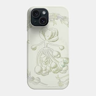 Succulent Sprite - kalanchoe marmorata Phone Case