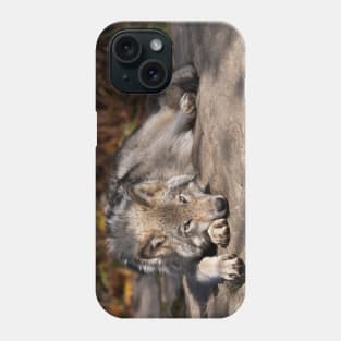 Gray Wolf Phone Case