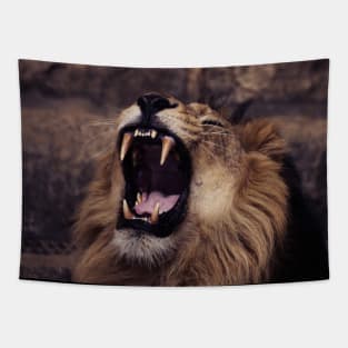 dangerous lion Tapestry