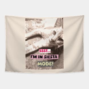 "Ssst… I'm in Siesta Mode!" Tapestry