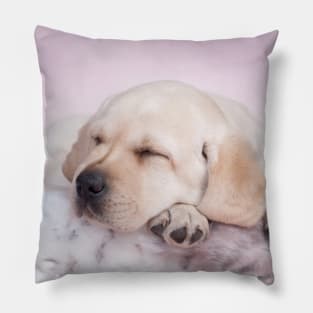 Sleeping labrador Pillow