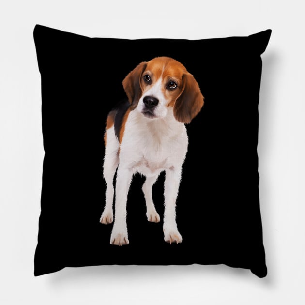 Beagle Dog, Love Beagle Dogs Pillow by dukito