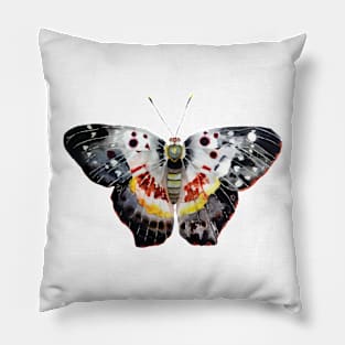 Butterfly Pillow