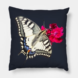 Gift idea butterfly swallowtail Pillow