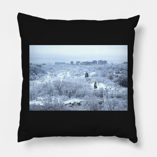 Narnia Pillow by EugeJ